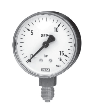WIKA 111-10-Ø-100-D25BAR-G1/2B Turkey