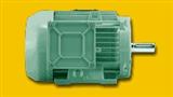 ADDA Antriebstechnik DC71FECCH-4 Three-phase alternating current Asynchronmotor with squirrel-cage rotor, serial-nr 6521871