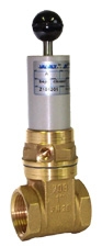 Valvaut Z101601 Gates valves, A GAS BSP SA Closed, 2