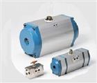 Trevisan 60001126 (ex. 62004500) Pneumatic actuator GTD-098/090-V17-F